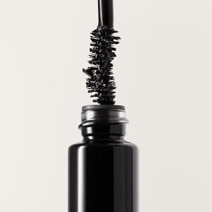 Lash Up Mascara Duo